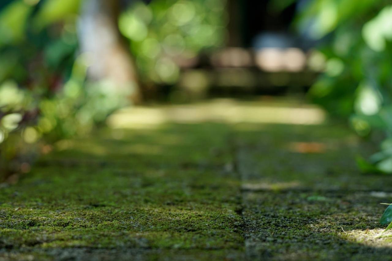 Villa Sachiibaru Nanjo Zewnętrze zdjęcie
